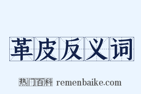 革皮反义词是什么意思的图片